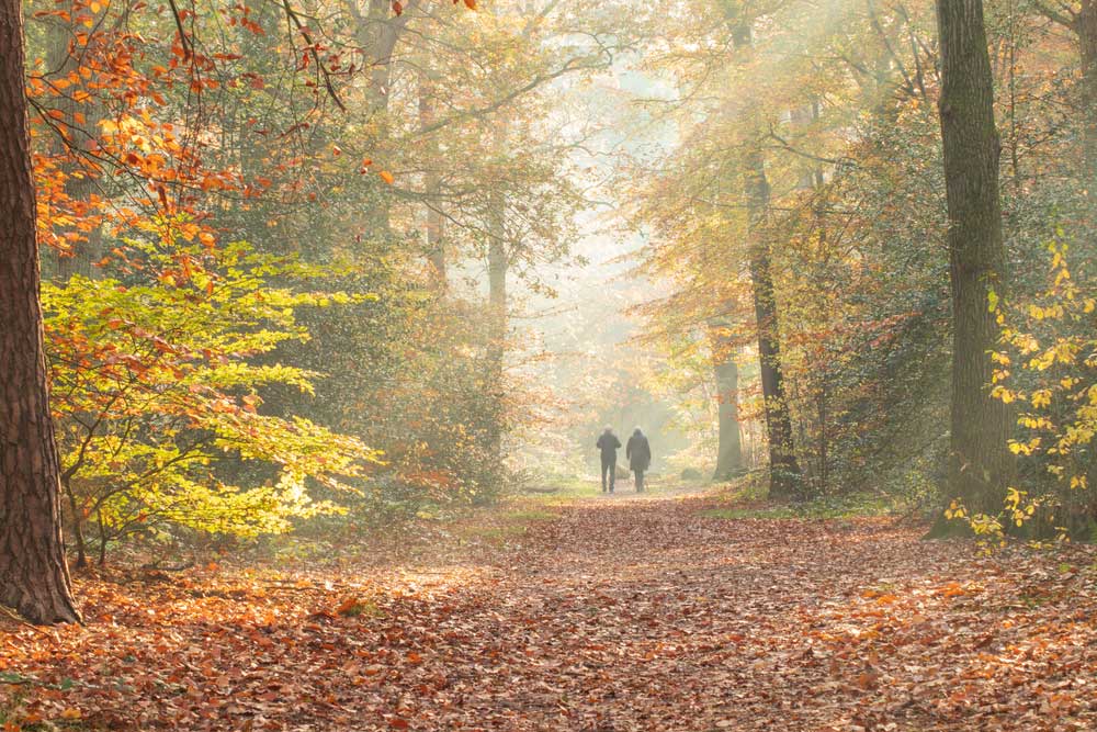 Wandelend gecoacht worden