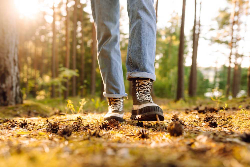 Wandel coaching in de natuur