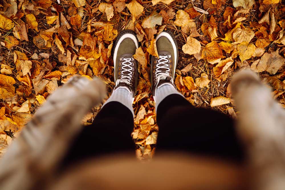 Lees meer over het artikel Focus en balans wandeling​
