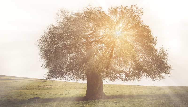 Wil je verandering in je werk, je relatie, je leven?