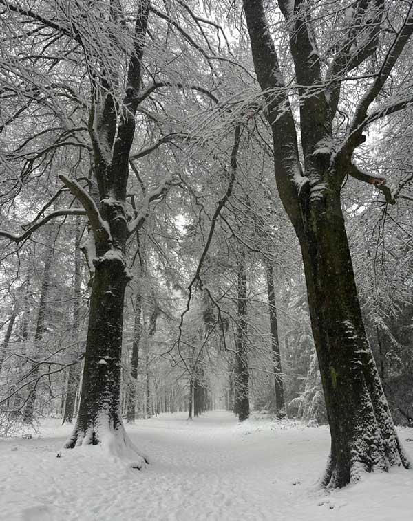 Frisse start persoonlijke groei