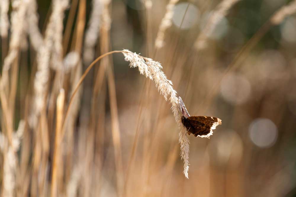 Wanneer houden van en loslaten samen vallen op de dag van de liefde