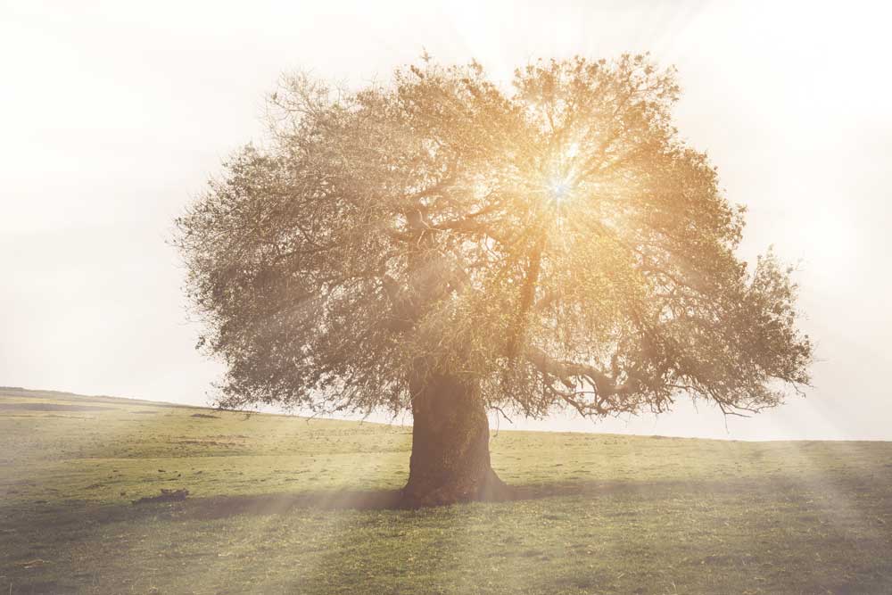 verandering in je werk, je relatie, je leven