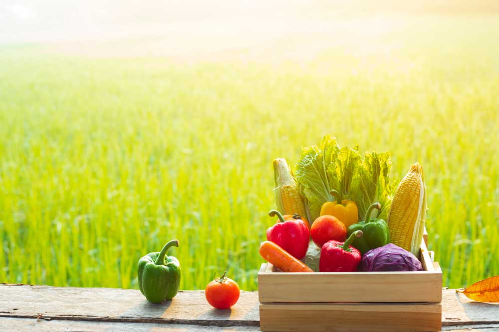 Mentale gezondheid wat zon, voeding, beweging en slaap voor jou doen