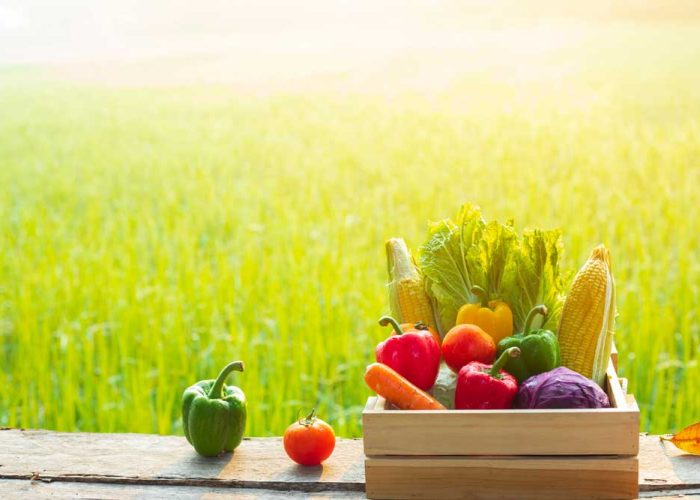 Mentale gezondheid voeding zon beweging slaap