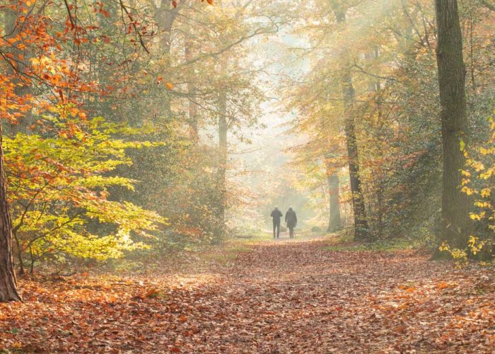 Wandelend gecoacht worden