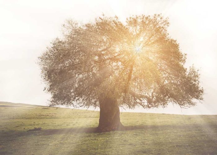 verandering in je werk, je relatie, je leven