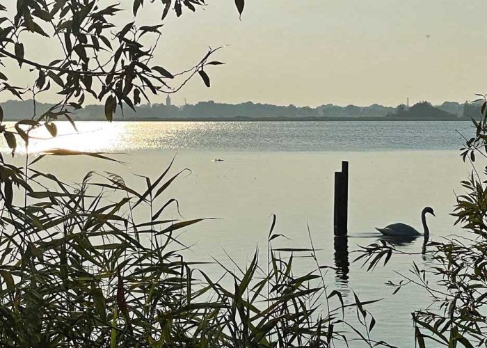 Coaching bij rouw en verlies